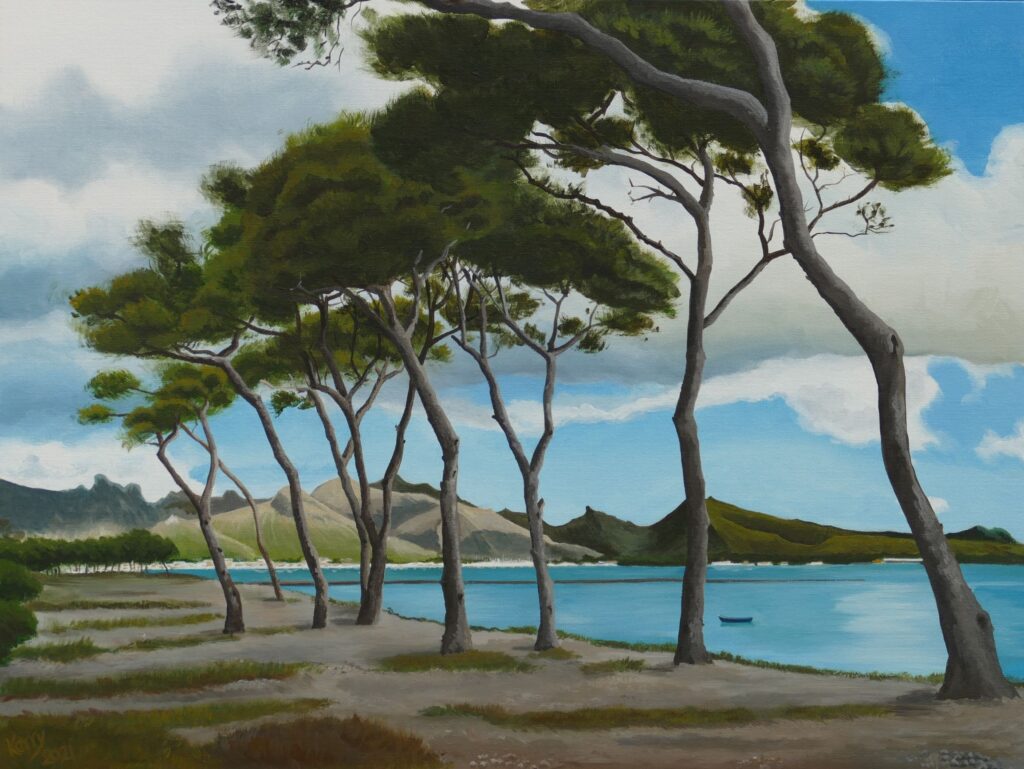 Pine trees in front of the sea with mountains behind