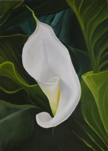 Painitng of a lily unfurling