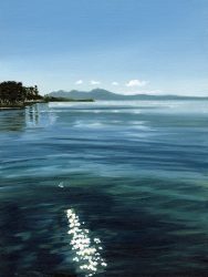 Sea sparkles